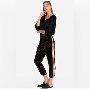 Johnny Was Velvet Leopard Print‎ Silk Blend Pull On Side Stripe Joggers Large